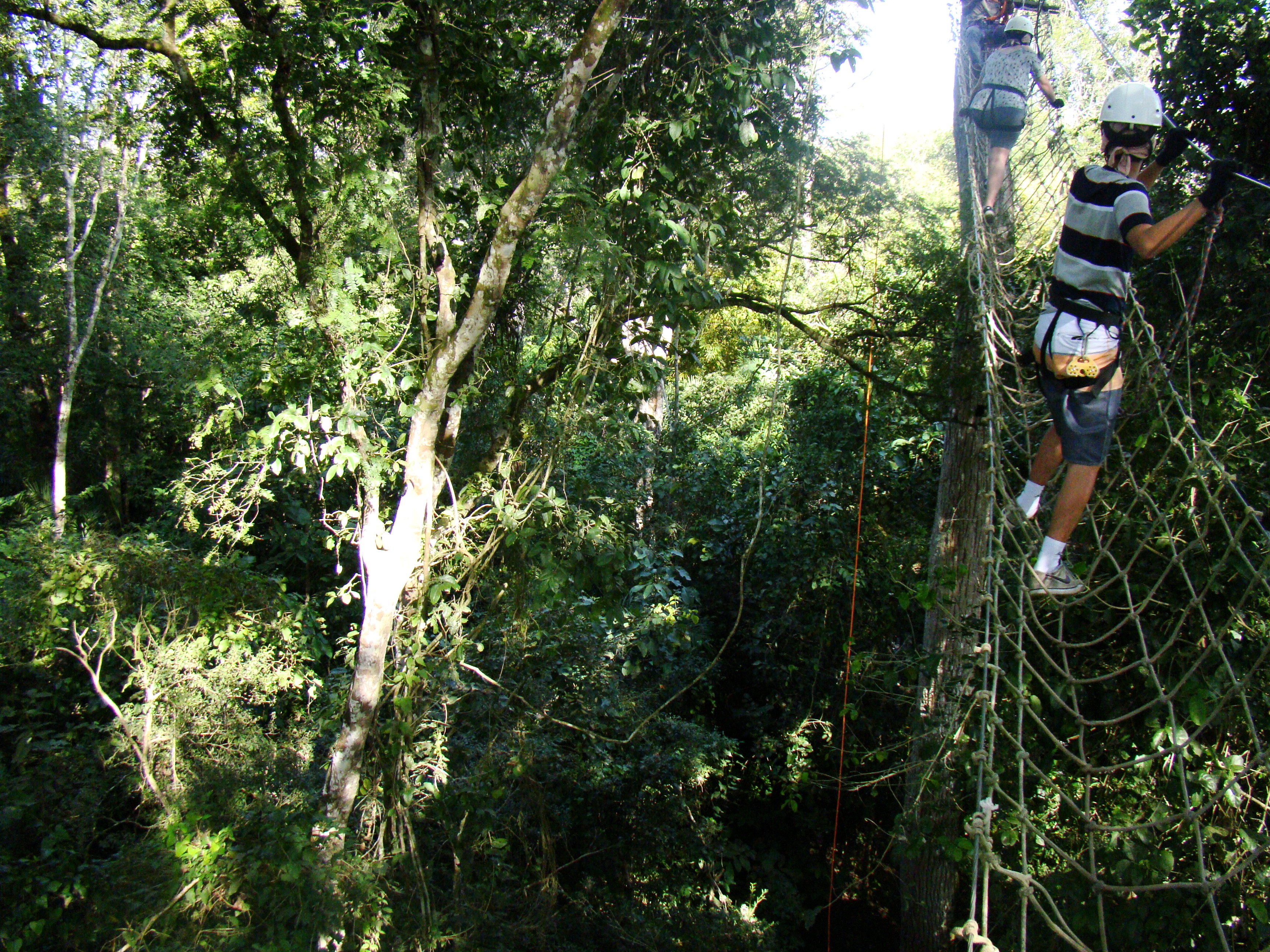 Turistas equipados com capacetes praticando arvorismo, atravessando ponte de cordas suspensa na copa das árvores em passeio de aventura em Bonito MS.