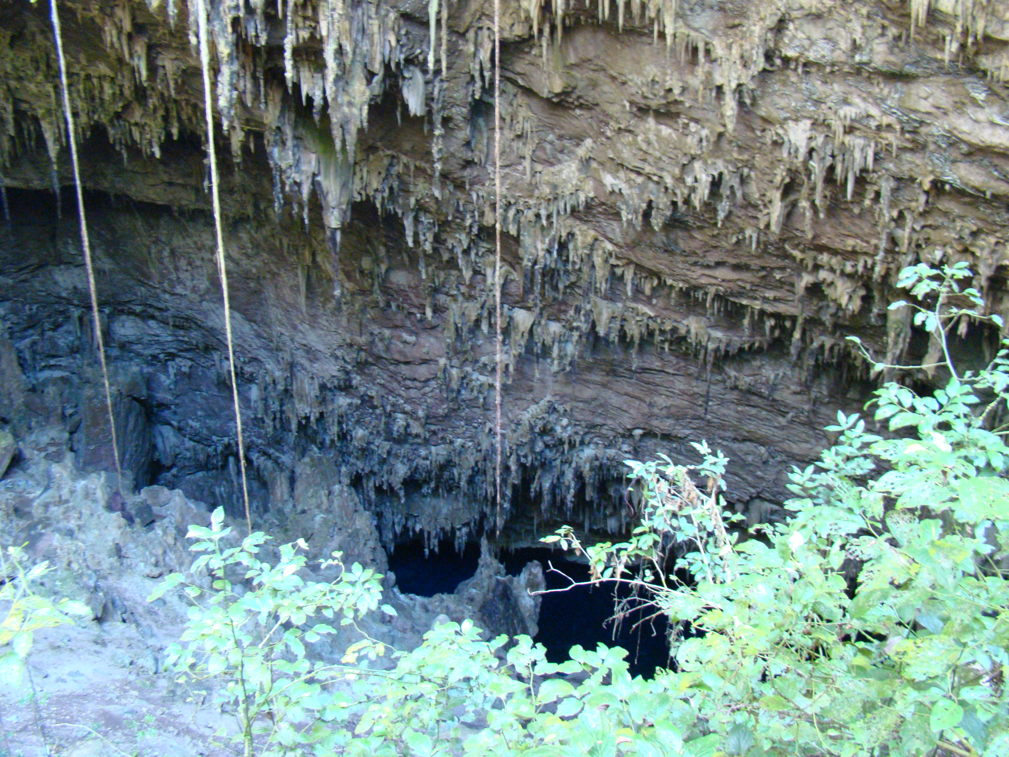 Formações rochosas e estalactites na entrada da Gruta do Lago Azul em Bonito MS, com vegetação nativa ao fundo.