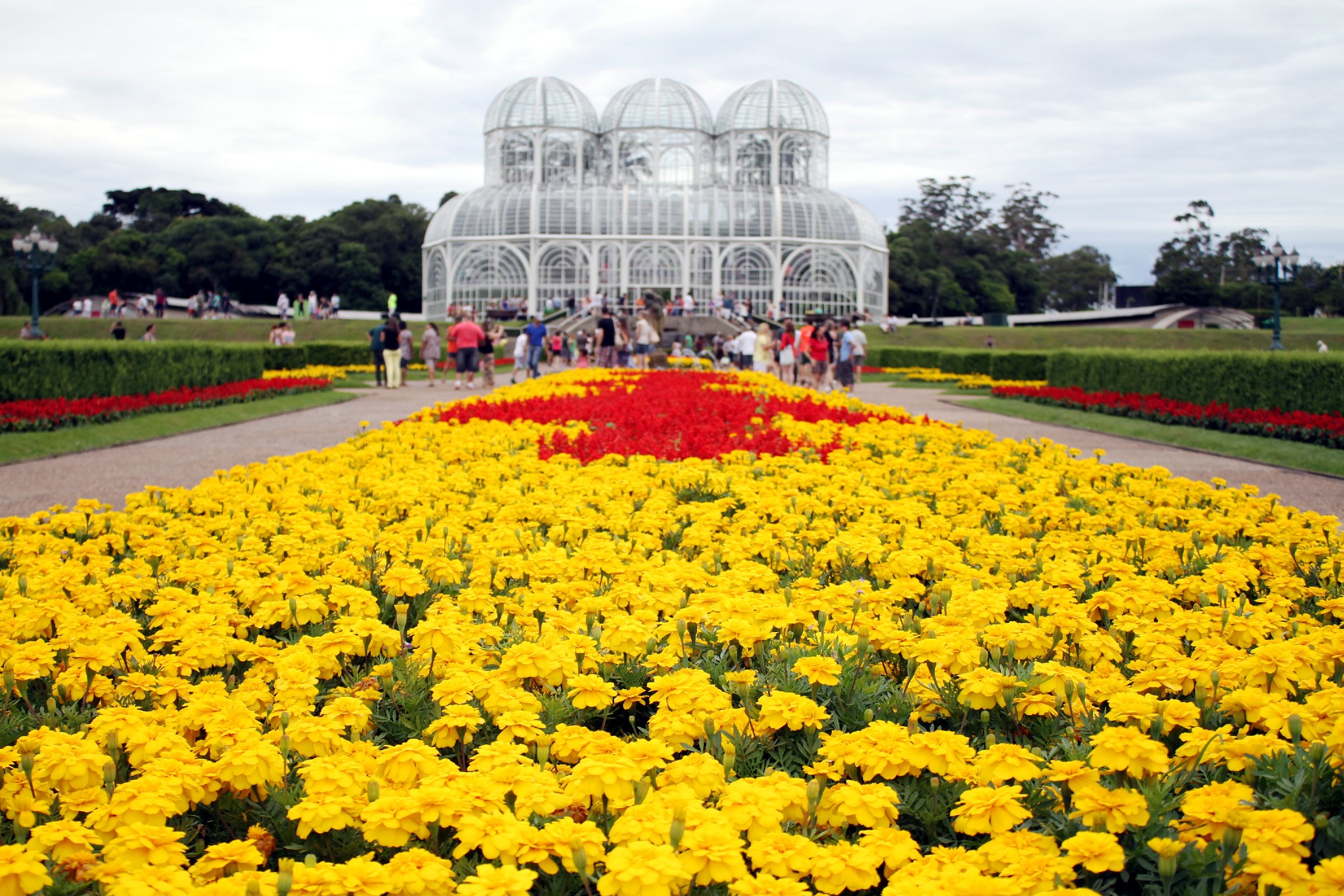 Estufa de vidro do Jardim Botânico de Curitiba ao fundo, com canteiro de flores amarelas em destaque no primeiro plano.