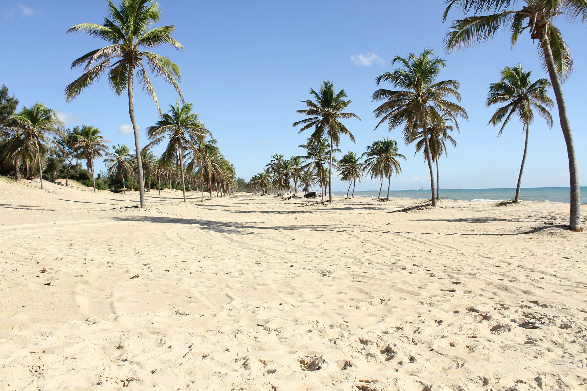 Praia deserta com areia branca e fileira de coqueiros sob céu azul no litoral do Ceará, em Fortaleza.